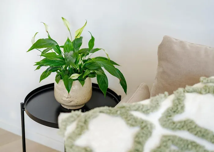 Apartamento Klara Krk Town