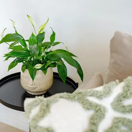 Apartament Klara Veglia